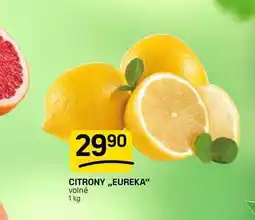 Flop CITRONY,,EUREKA volné nabídka
