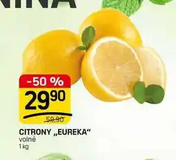 Flop CITRONY,,EUREKA volné nabídka
