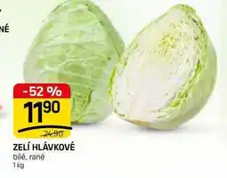 Flop ZELÍ HLÁVKOVÉ bílé, rané nabídka