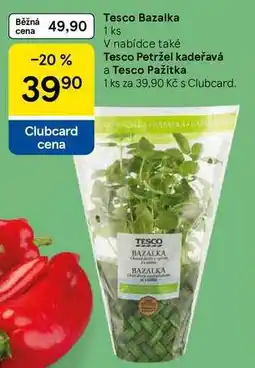 Tesco Tesco Bazalka, 1 ks nabídka