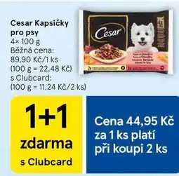 Tesco Cesar Kapsičky pro psy, 4× nabídka