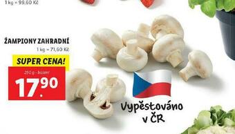 Lidl Žampiony zahradní nabídka