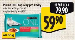 Albert Purina ONE Kapsičky pro kočky nabídka