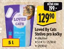 Albert Loved By Cats Stelivo pro kočky nabídka