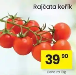 Kubík potraviny Rajčata keřík nabídka