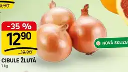Flop Cibule žlutá nabídka