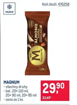 Makro Magnum nabídka