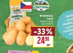 Billa Brambory rané baleni nabídka