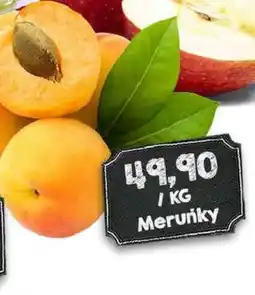 Jip Meruňky nabídka