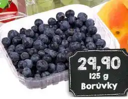 Jip Borůvky nabídka