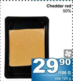 Jip Cheddar red nabídka