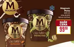 Billa Magnum pinta nabídka