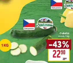 Billa CUKETA nabídka