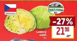 Billa Ledový salát nabídka