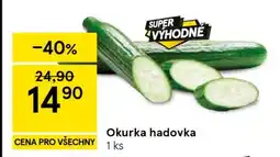 Tesco Okurka hadovka nabídka
