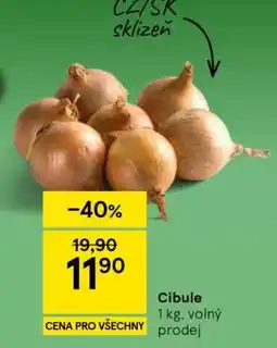 Tesco Cibule nabídka