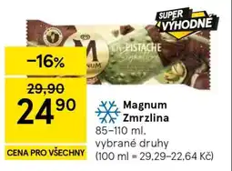 Tesco Magnum zmrzlina nabídka