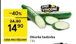 Tesco Okurka hadovka nabídka
