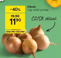 Tesco Cibule nabídka