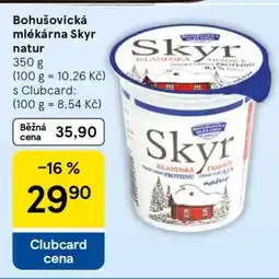 Tesco BOHUŠOVICKÁ MLÉKÁRNA SKYR NATUR nabídka