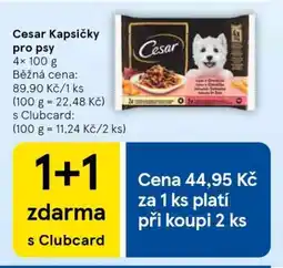 Tesco CESAR KAPSIČKY PRO PSY nabídka