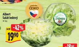 Albert Albert Salát ledový nabídka