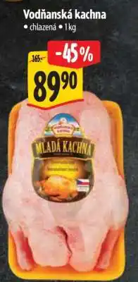 Albert Vodňanská kachna nabídka