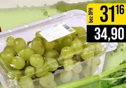 Jip Hrozny bílé bezpeckové nabídka