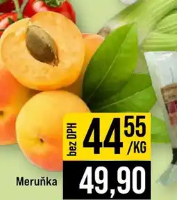 Jip Meruňka nabídka