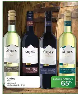 Tamda Foods Andes 0,751 nabídka
