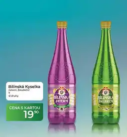 Tamda Foods Bílinská Kyselka Jaterni, Zaludeční 11 nabídka