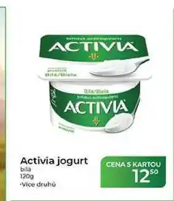 Tamda Foods Activia jogurt bílá nabídka
