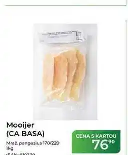 Tamda Foods Mooijer (CA BASA) Mraz pangasius 170/220 nabídka