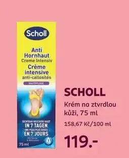 Rossmann Scholl nabídka