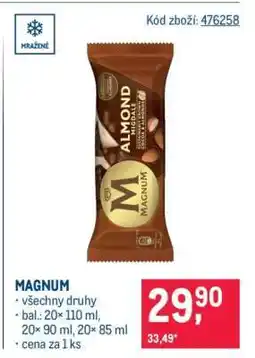 Makro Magnum nabídka