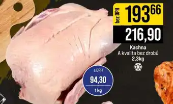 Jip KACHNA nabídka