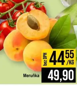 Jip MERUŇKA nabídka