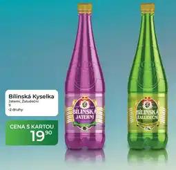 Tamda Foods Bílinská Kyselka nabídka