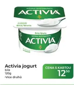 Tamda Foods Activia jogurt bilá nabídka