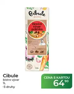 Tamda Foods Cibule bistro vývar nabídka