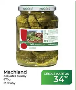 Tamda Foods Machland delikates okurky nabídka