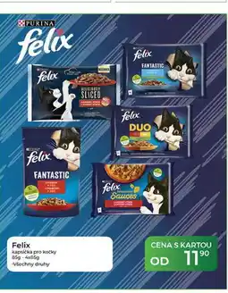 Tamda Foods Felix kapsička pro kočky 85g nabídka