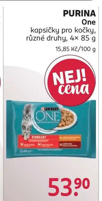 Purina One
