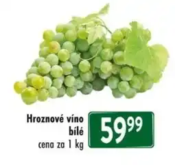 Qanto Hroznové víno bílé nabídka