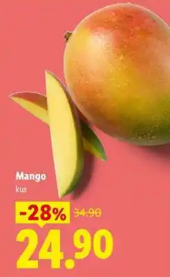 Lidl Mango nabídka