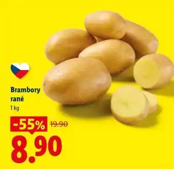 Brambory rané