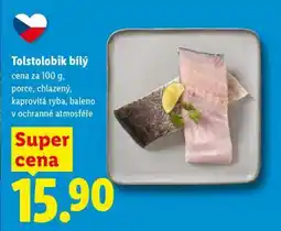 Lidl TOLSTOLOBIK BÍLÝ nabídka