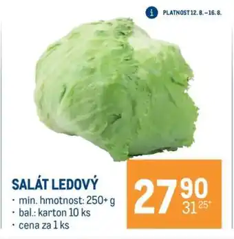 Salát ledový