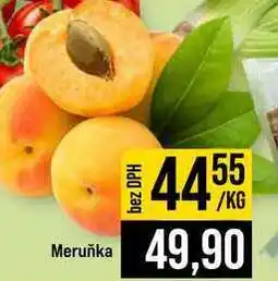 Jip Meruňka nabídka