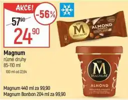 Globus Magnum nabídka